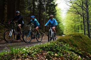 Široká paleta sportovního vyžití, to je Šumava