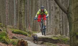 Trialy a bikeparky